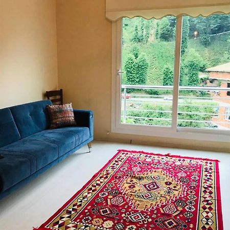 River Side Placed Suit House Secer Apart Çamlıhemşin 외부 사진