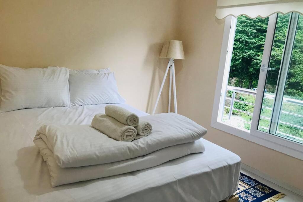 River Side Placed Suit House Secer Apart Çamlıhemşin 외부 사진